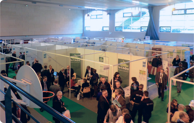 stands-mosaic-scenic